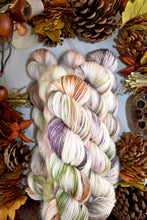 Load image into Gallery viewer, Autumn in Rhinebeck