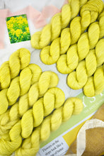 Load image into Gallery viewer, Euphorbia