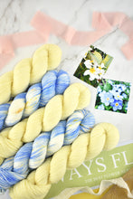 Load image into Gallery viewer, Forget-me-not