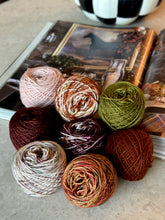 Load image into Gallery viewer, Rhinebeck Weekend Mini Skein Set - Preorder