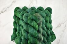 Load image into Gallery viewer, Ray Ray Green