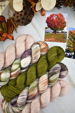 Load image into Gallery viewer, Blush Cormo