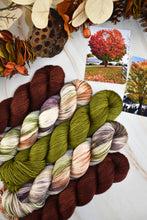 Load image into Gallery viewer, Autumn in Rhinebeck