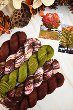 Load image into Gallery viewer, Rhinebeck Sweater