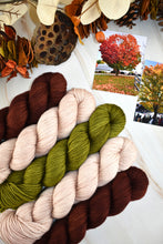 Load image into Gallery viewer, Road to Rhinebeck Full Collection