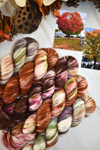 Load image into Gallery viewer, Road to Rhinebeck Full Collection