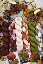 Load image into Gallery viewer, Autunno Scarf Kit