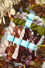 Load image into Gallery viewer, Road to Rhinebeck Sock Sets