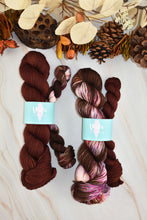 Load image into Gallery viewer, Road to Rhinebeck Sock Sets