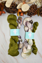 Load image into Gallery viewer, Road to Rhinebeck Sock Sets