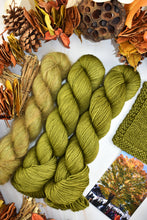 Load image into Gallery viewer, The Hill