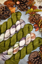 Load image into Gallery viewer, Autumn in Rhinebeck