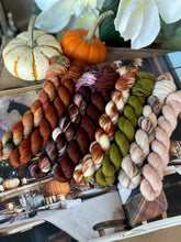 Load image into Gallery viewer, Rhinebeck Weekend Mini Skein Set - Preorder
