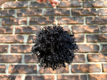 Load image into Gallery viewer, Pom Poms
