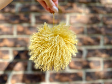 Load image into Gallery viewer, Pom Poms
