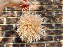 Load image into Gallery viewer, Pom Poms
