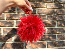 Load image into Gallery viewer, Pom Poms
