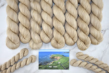 Load image into Gallery viewer, Sand Bunker
